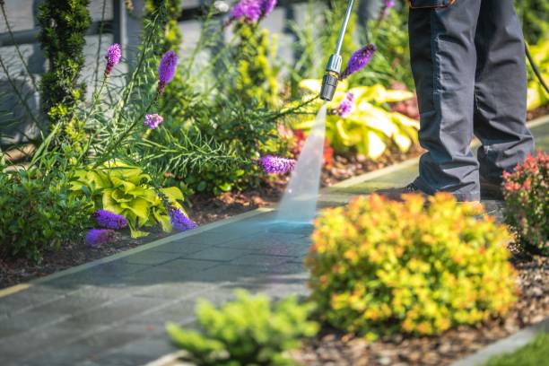 Best Animal Enclosure Cleaning  in Alta Sierra, CA